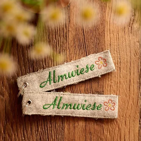 Almwiese * Oberstdorf